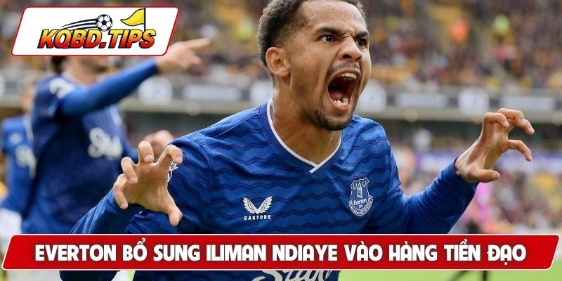 Everton bổ sung Iliman Ndiaye vào hàng tiền đạo